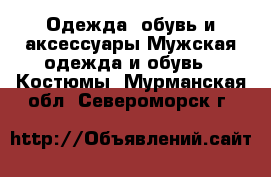 Одежда, обувь и аксессуары Мужская одежда и обувь - Костюмы. Мурманская обл.,Североморск г.